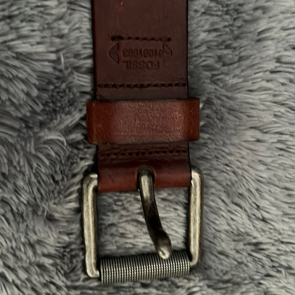 Fossil belt